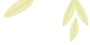 空氣能,太陽能,熱水器