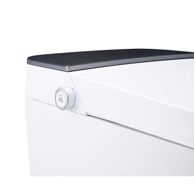 太陽雨智能馬桶/30/40坑距/即熱低水箱/漩沖/坐圈加熱/洗護/暖風/離座沖水/自動翻蓋/遙控