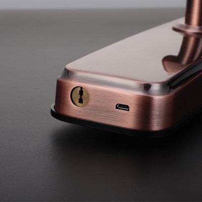 太陽雨智能鎖/紅古銅鋅合金滑蓋/5種開鎖/防撬報警/鋼體鎖芯/ZW0003