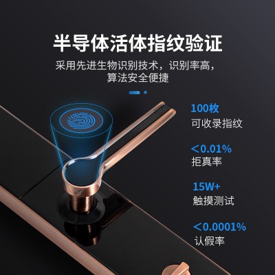 太陽雨智能鎖/紅古銅鋅合金/5種開鎖/防撬報警/鋼體鎖芯/ZW0004