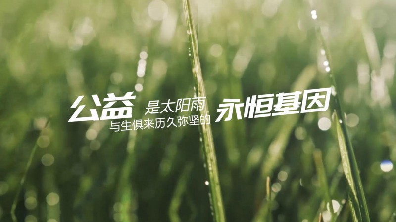 發現太陽雨最美｜公益基因