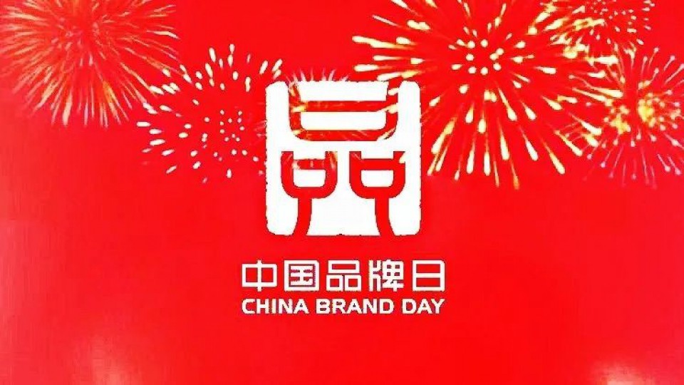 太陽雨集團應邀參加2020中國品牌云峰會